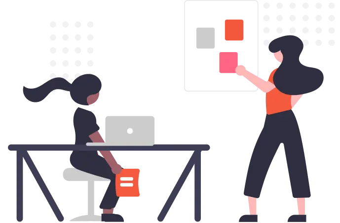 Bonami Software Team Collaboration